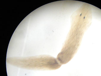 e0083097_21184366.jpg