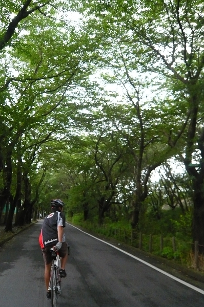 e0022303_17391464.jpg