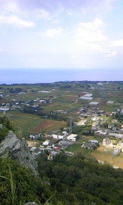 f0032403_1172623.jpg