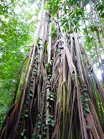 c0148705_21565975.jpg