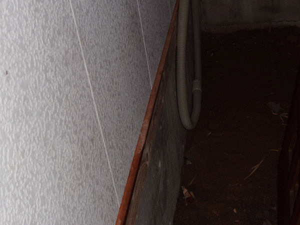 b0159611_1694599.gif