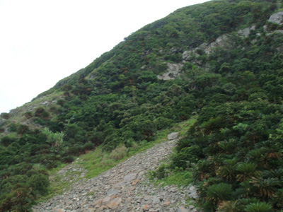 a0019212_21483074.jpg