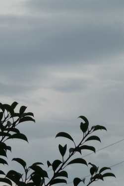 d0150013_19522394.jpg