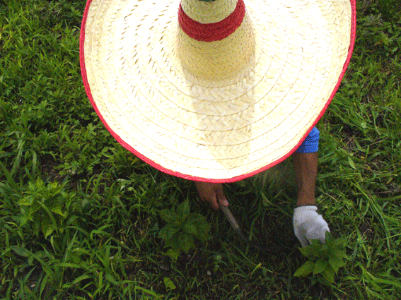 e0015915_15164698.gif