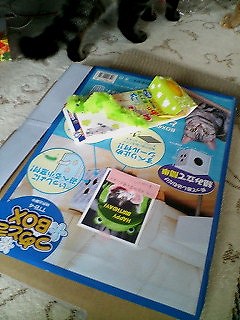 c0145016_12172595.jpg