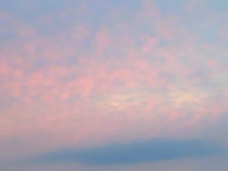 a0117226_23203524.jpg