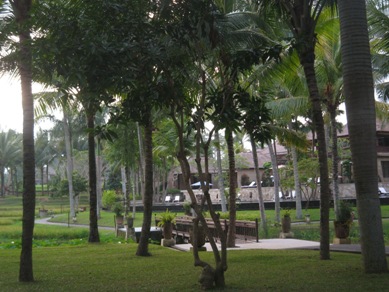 f0162528_19404769.jpg