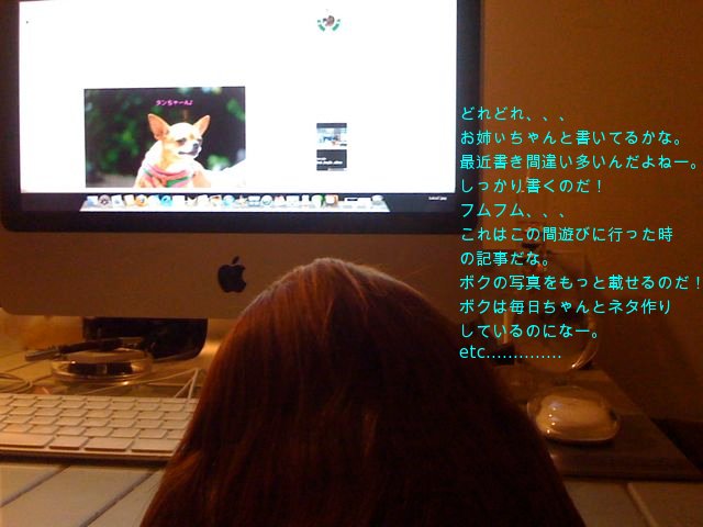 f0039538_215983.jpg