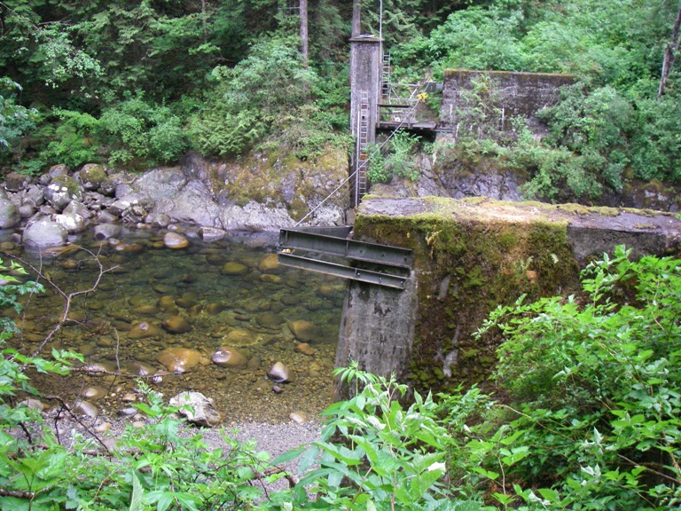f0084544_11433337.jpg