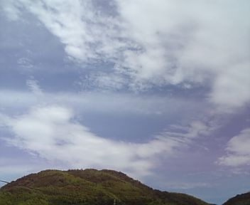 f0183846_20554519.jpg