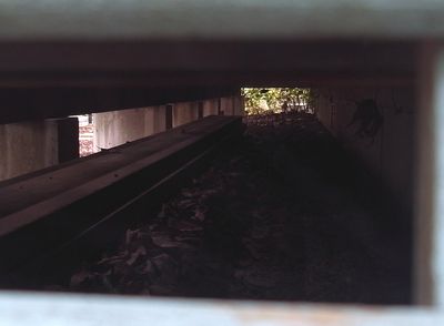 e0019550_173411.jpg