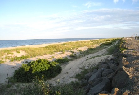 b0173754_0181041.jpg