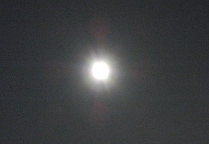 b0173754_0441351.jpg