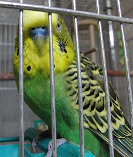 f0196665_23465072.jpg