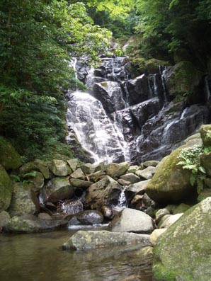 f0176370_1652670.jpg