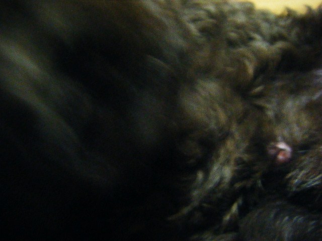 f0207970_8333665.jpg