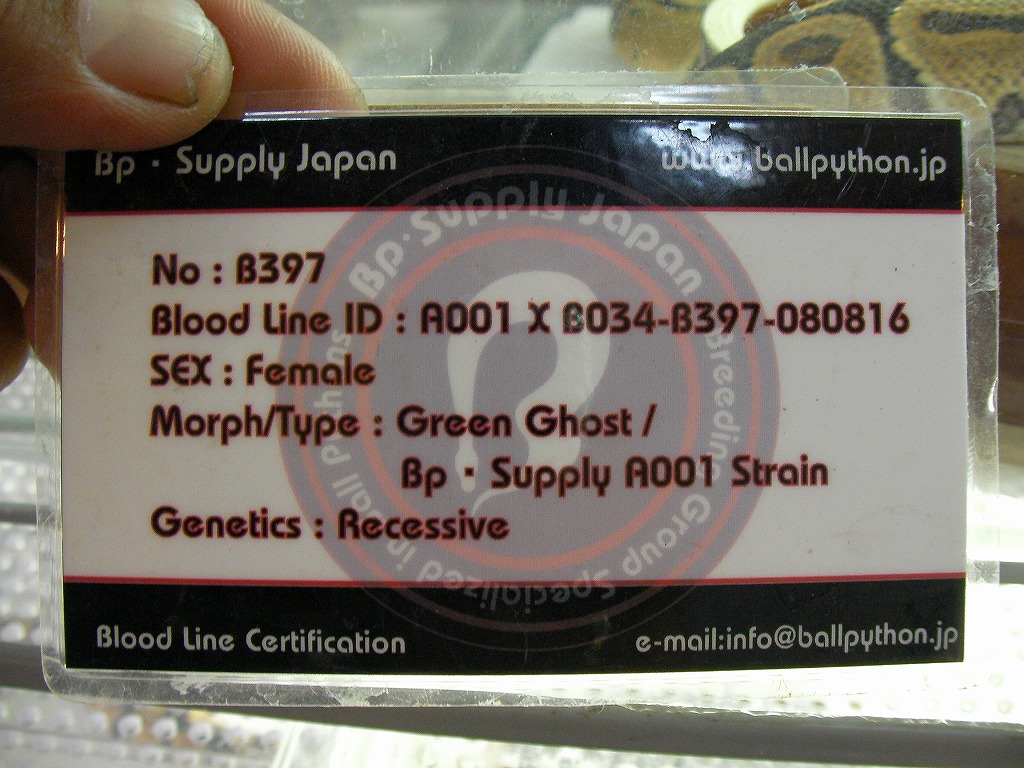e0099576_1936015.jpg