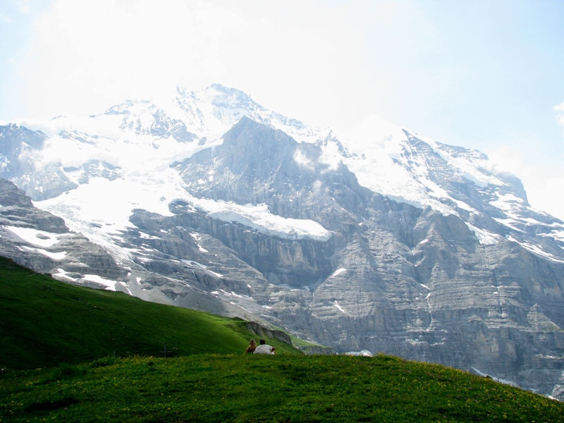 d0126577_21522186.jpg