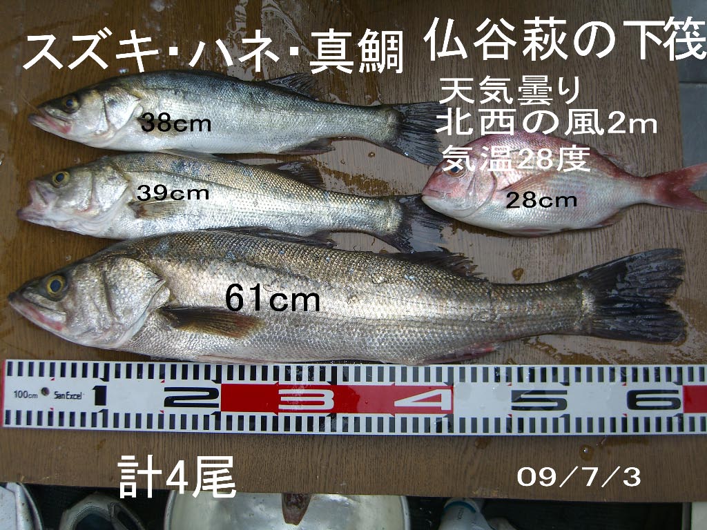 e0023183_4132146.jpg