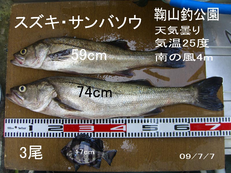 e0023183_4154772.jpg