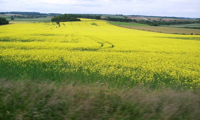 c0188784_1374866.jpg