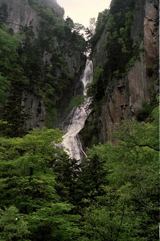 f0159784_6452269.jpg