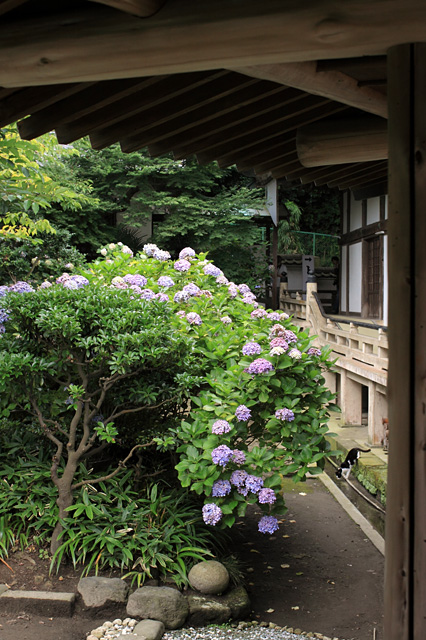 b0067789_203373.jpg