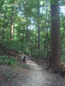 b0166491_6255013.jpg