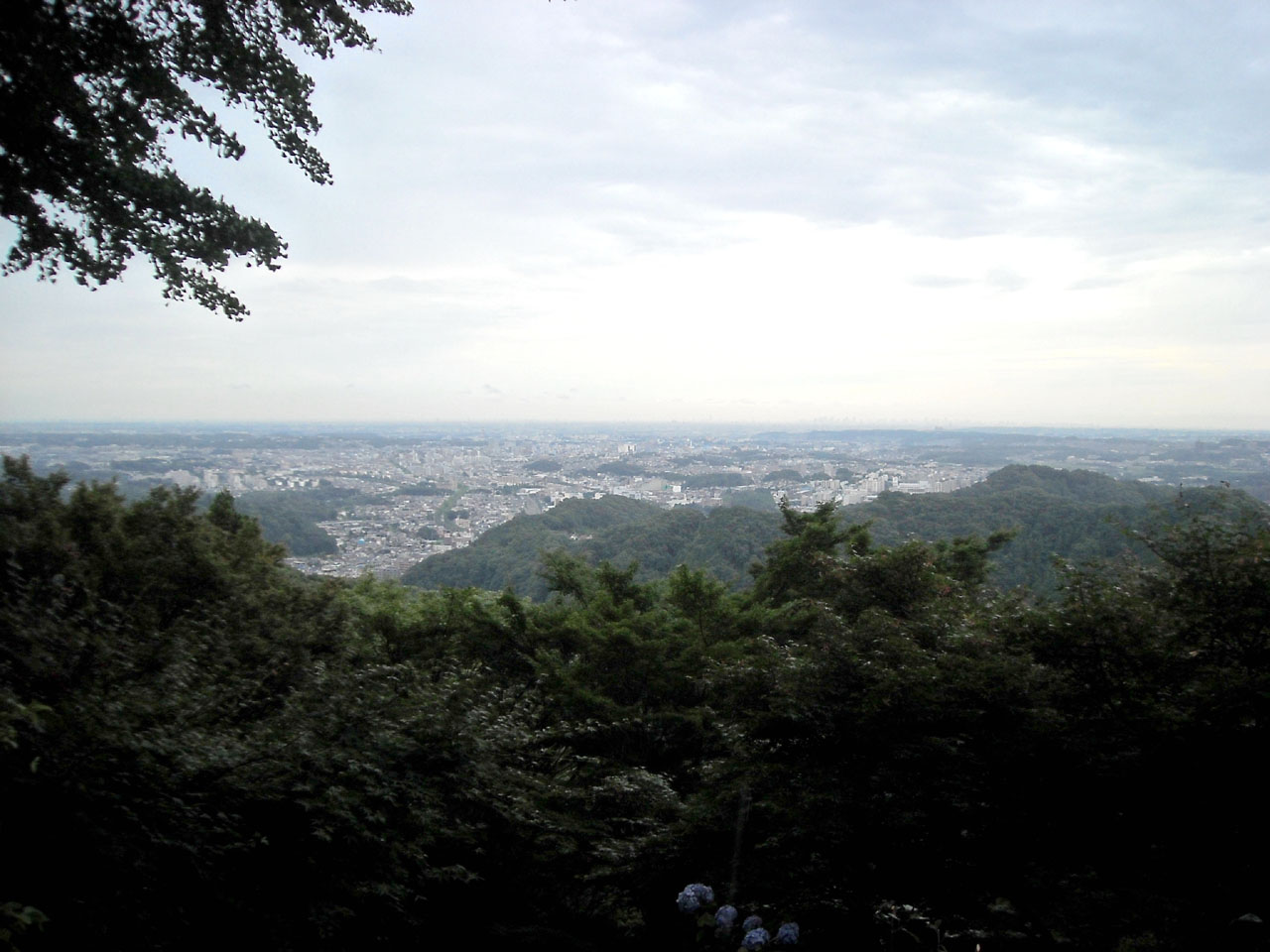 c0166293_12495954.jpg