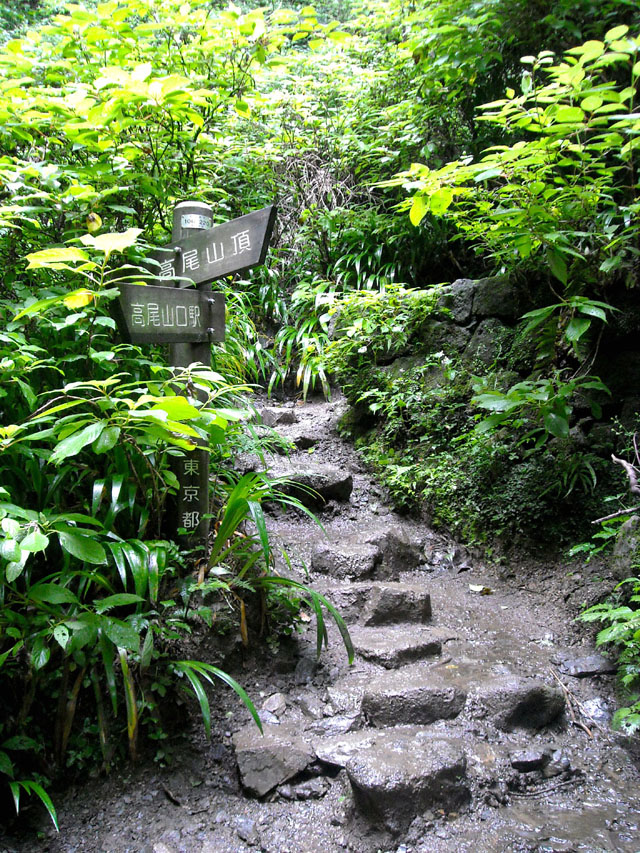 c0166293_12553475.jpg
