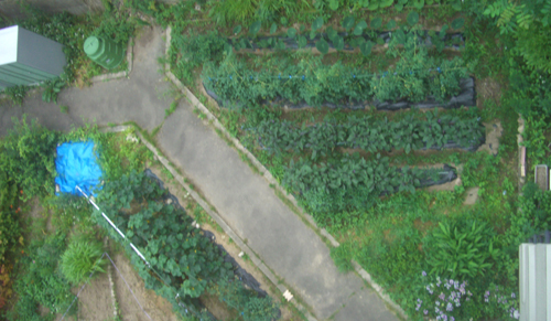 b0099994_128427.jpg