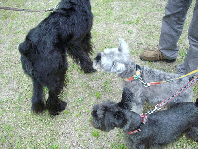 c0138198_21335840.jpg