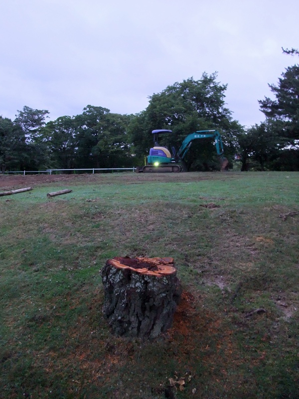 c0043403_22565476.jpg