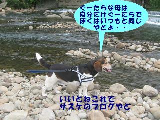 d0104209_20342163.jpg
