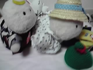 c0067610_0322914.jpg