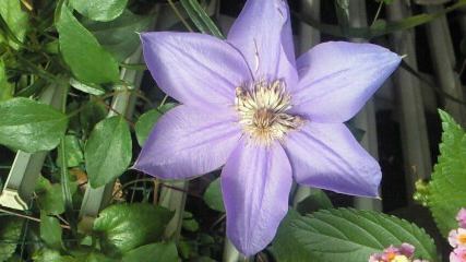 a0101715_1233794.jpg