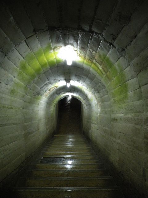 e0167315_10294062.jpg