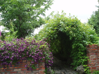 f0192117_18533913.jpg