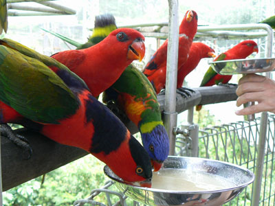 e0148120_6214159.jpg