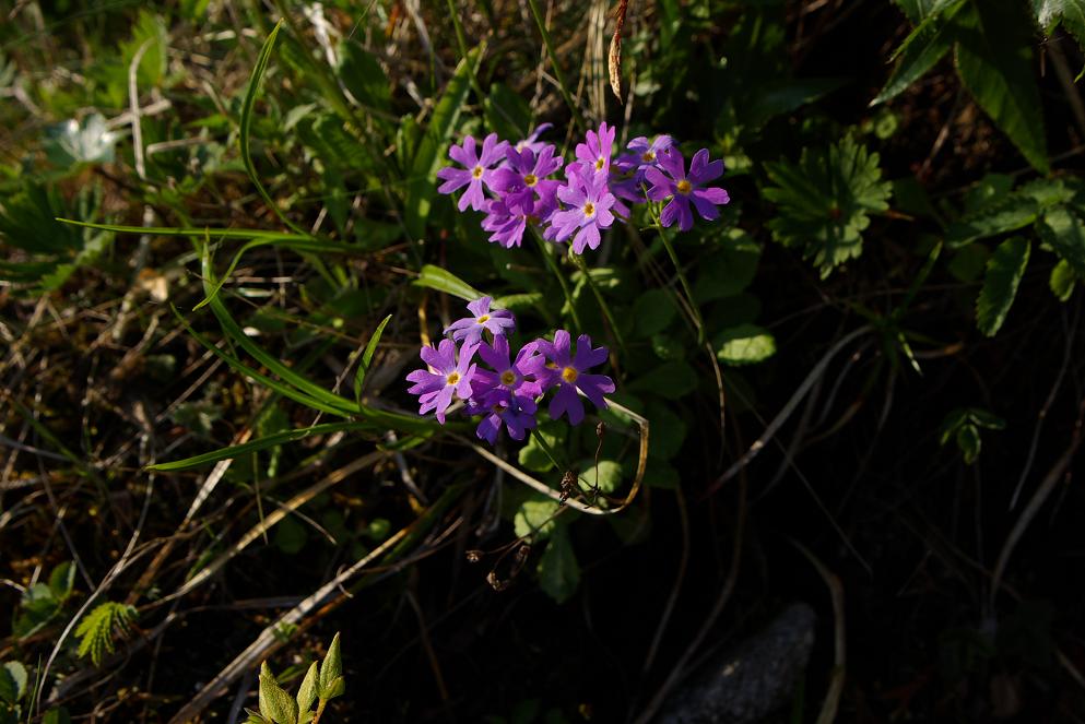 b0062024_0454640.jpg