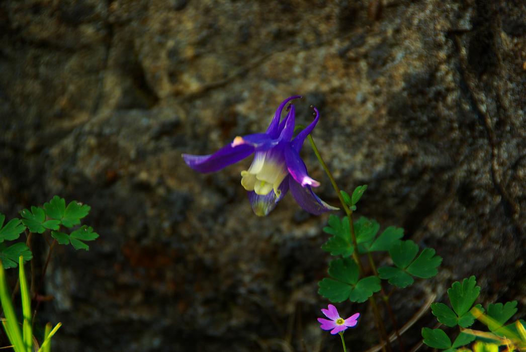 b0062024_05158100.jpg