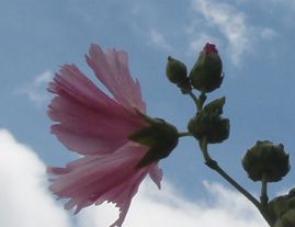b0008825_21361669.jpg