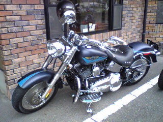 a0099129_8444753.jpg