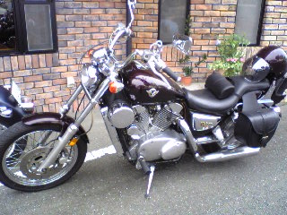 a0099129_846488.jpg