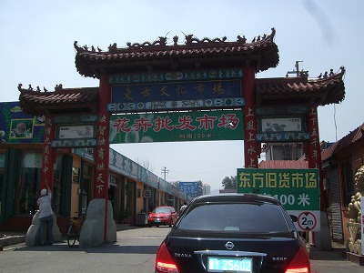 f0139029_2022221.jpg