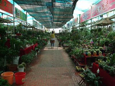 f0139029_2061157.jpg