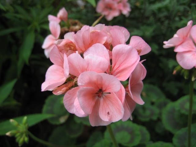 e0166032_22253013.jpg