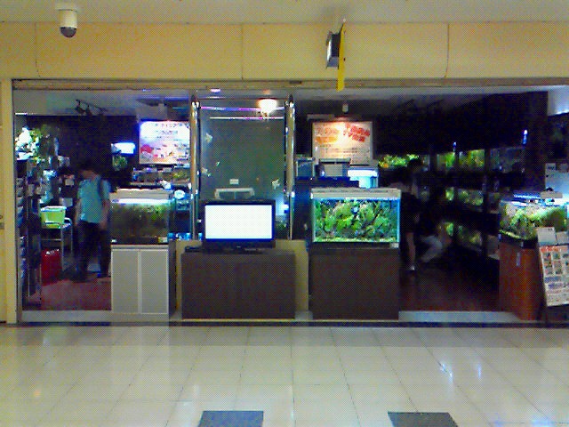 a0121134_22363145.jpg