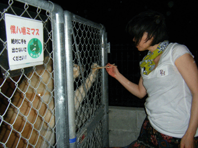 f0008935_1595676.gif