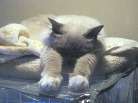 d0140838_23261074.jpg